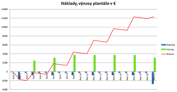 Ekonomika plantacji